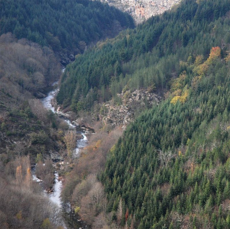 L'importance du dénivelé et les précipitations méditerranéennes donnent à la Dourbie un régime torrentiel. L'importance du dénivelé et les précipitations méditerranéennes donnent à la Dourbie un régime torrentiel.