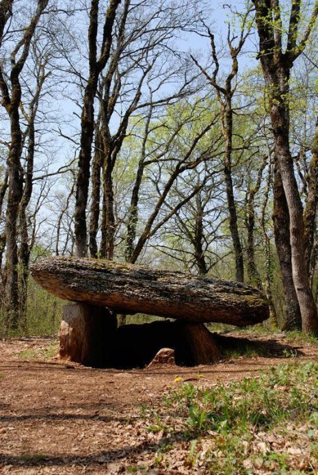 martiel-dolmen-du-bois-de-margues