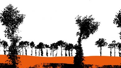 silhouette de chênes émondés
