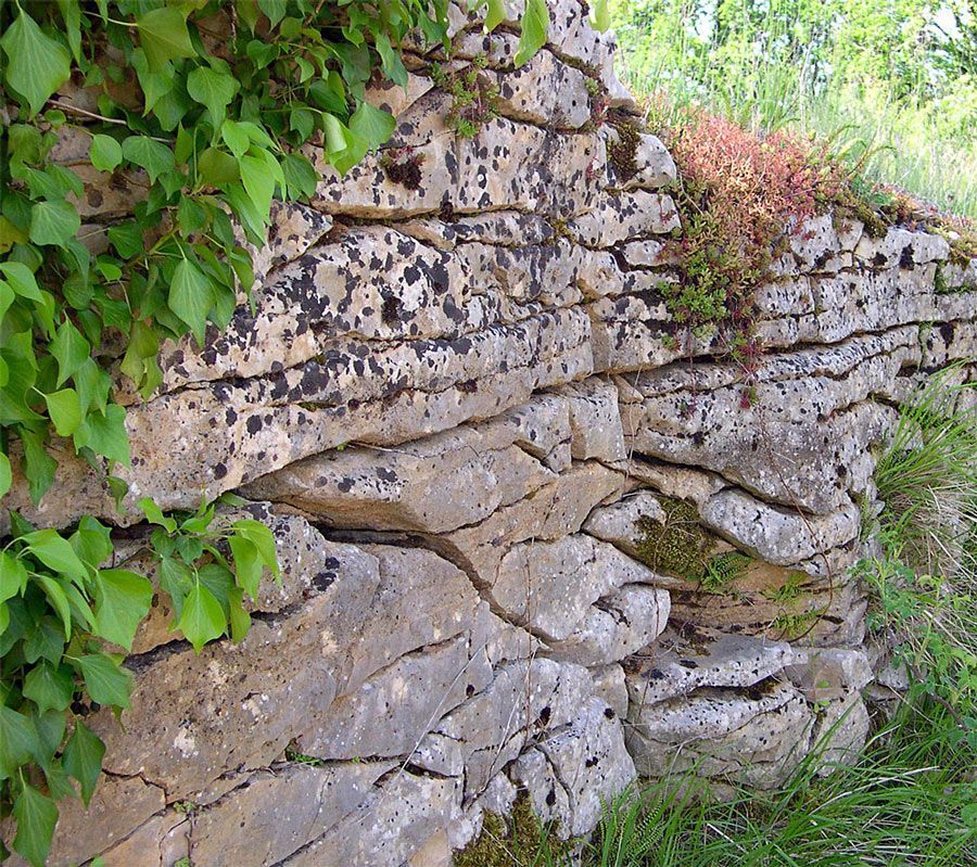 L’eau sculpte le calcaire en élargissant les fissures.