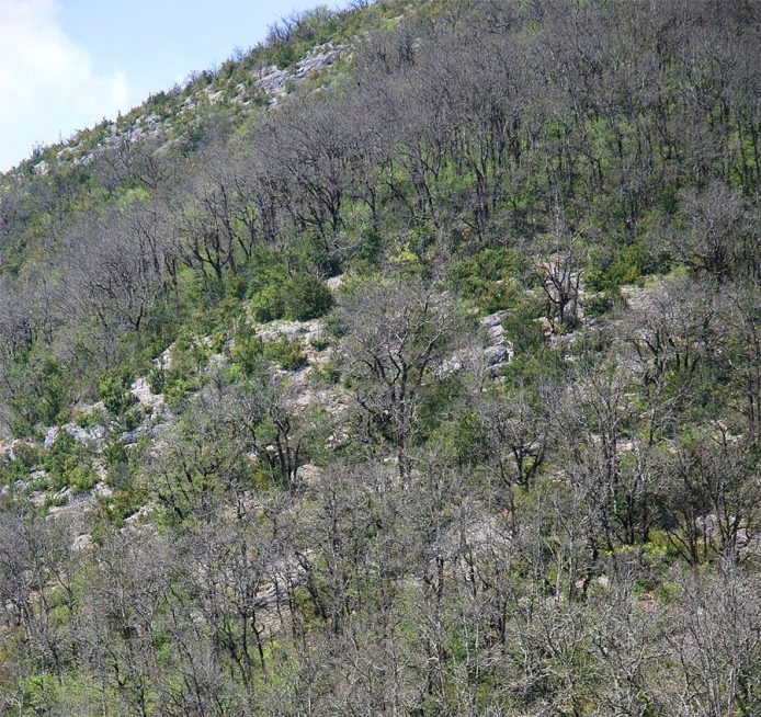 pente-seche-causse-villefranche