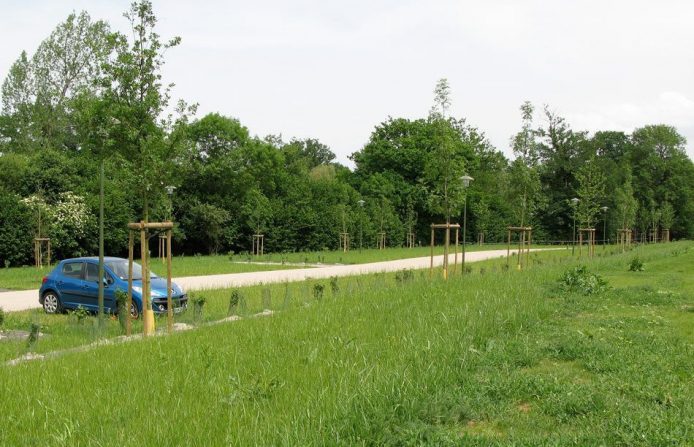 enherbe-parking-stationnement
