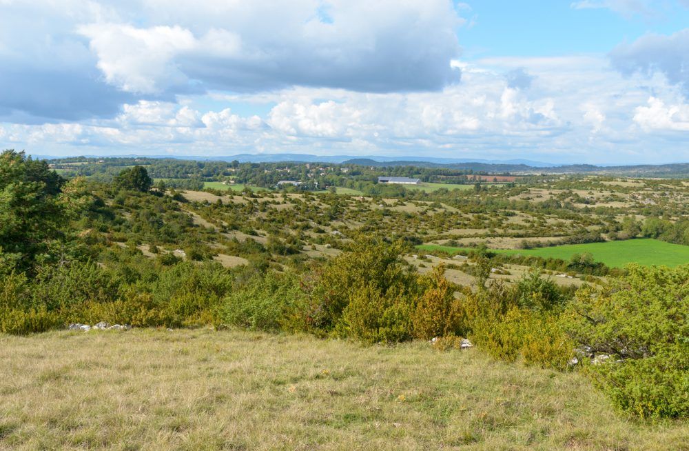 69_2_Viala-du-Pas-de-Jaux_2014