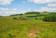 10-e11-prades-aubrac-tourbiere-2015