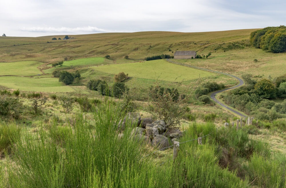 25-C10--Borie-Neuve-–-Lacalm-–-Argences-en-Aubrac-DSC_2005-25-septembre-2024