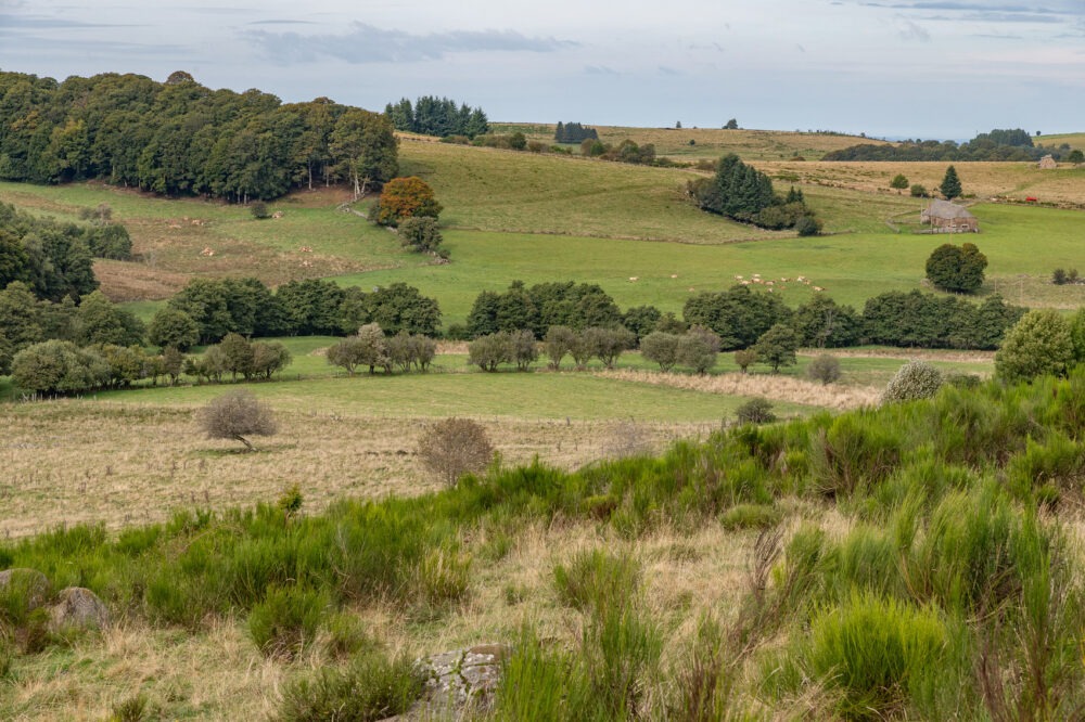 25-C10--Borie-Neuve-–-Lacalm-–-Argences-en-Aubrac-DSC_2028-25-septembre-2024