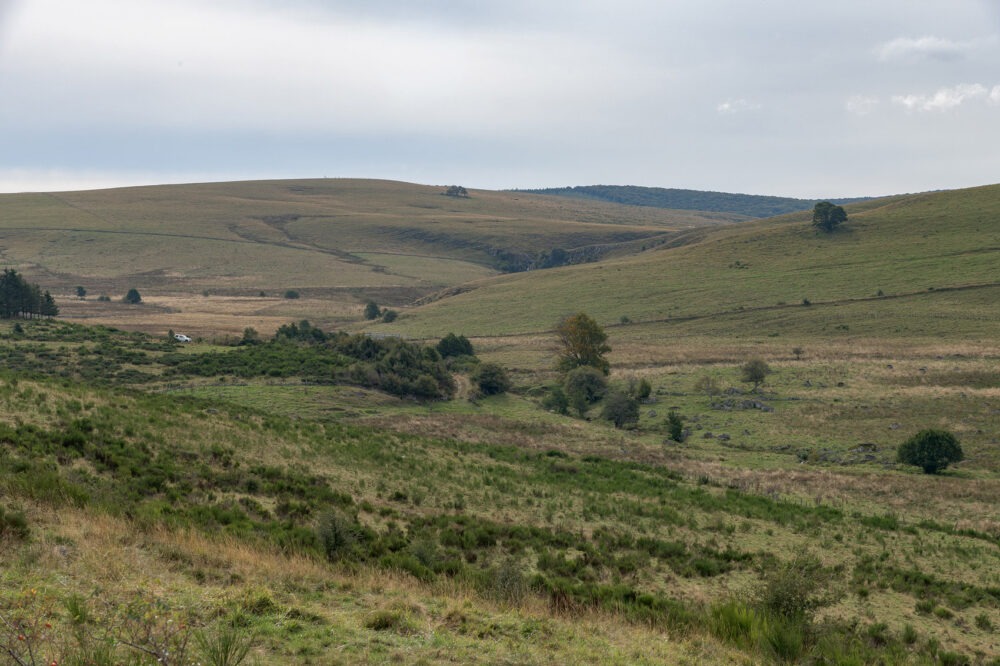 25-C10--Borie-Neuve-–-Lacalm-–-Argences-en-Aubrac-DSC_2036-25-septembre-2024