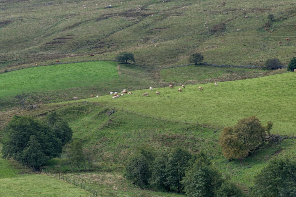 25-C10--Borie-Neuve-–-Lacalm-–-Argences-en-Aubrac-DSC_2037-25-septembre-2024