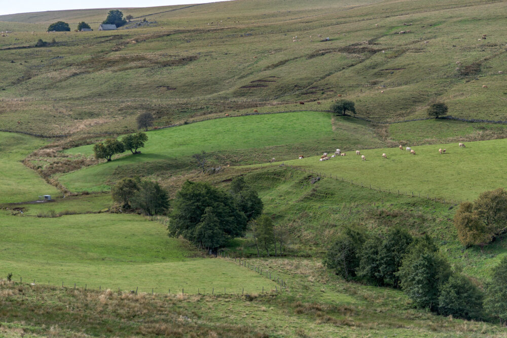 25-C10--Borie-Neuve-–-Lacalm-–-Argences-en-Aubrac-DSC_2044-25-septembre-2024