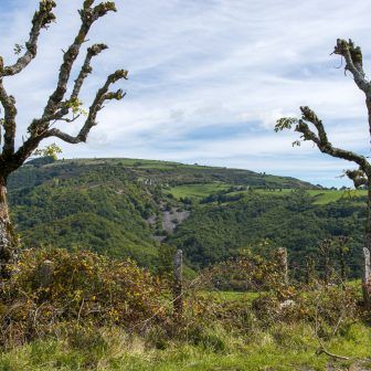 29-Lunet--frenes-tetard-25-septembre-2015--CAU_5237