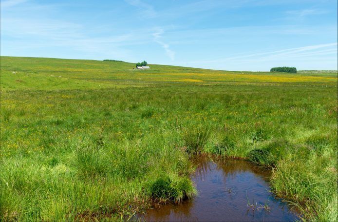 3-e11-aurelle-verlac-plateau-pendouliou-de-ramel-opp-na-2018