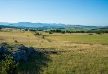 51-1-Pradine-2014
