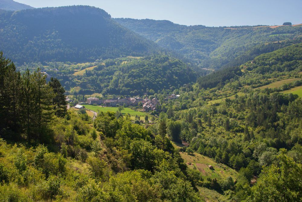 60.2_Treves-2014
