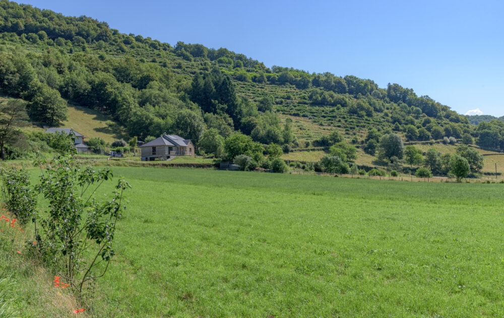 7-estaing-vigne-26-juin-2024