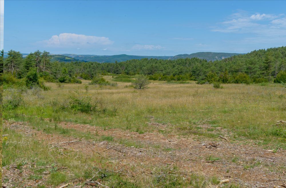 47-La-Vagne-de-Crot_2020