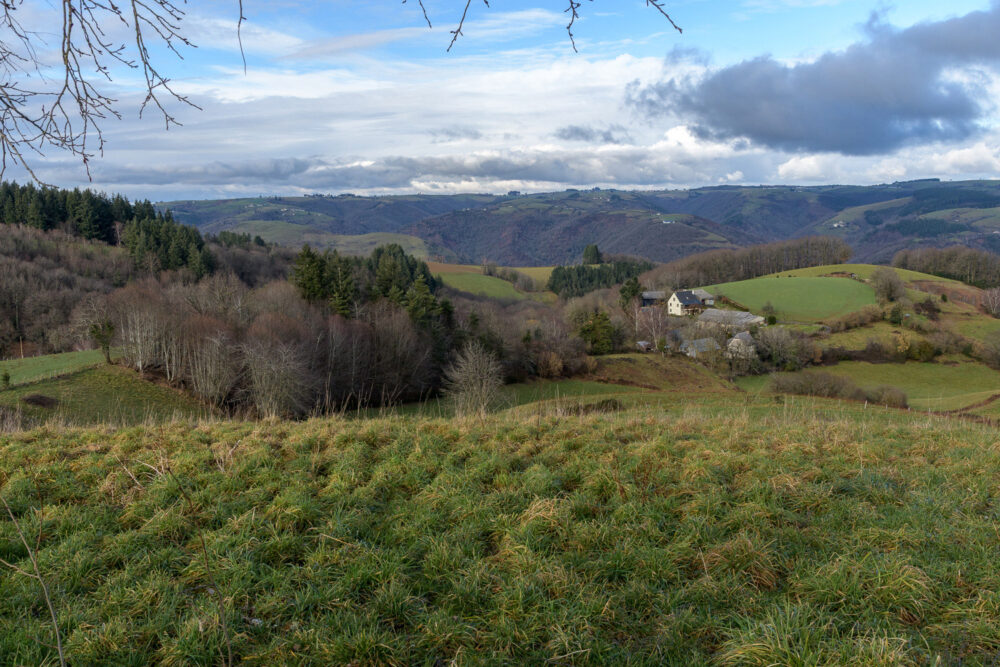 D6-senergues---34-mm-E24C_8747---28-janvier-2026