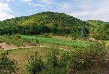 J2-OPP-PETR-web-2017