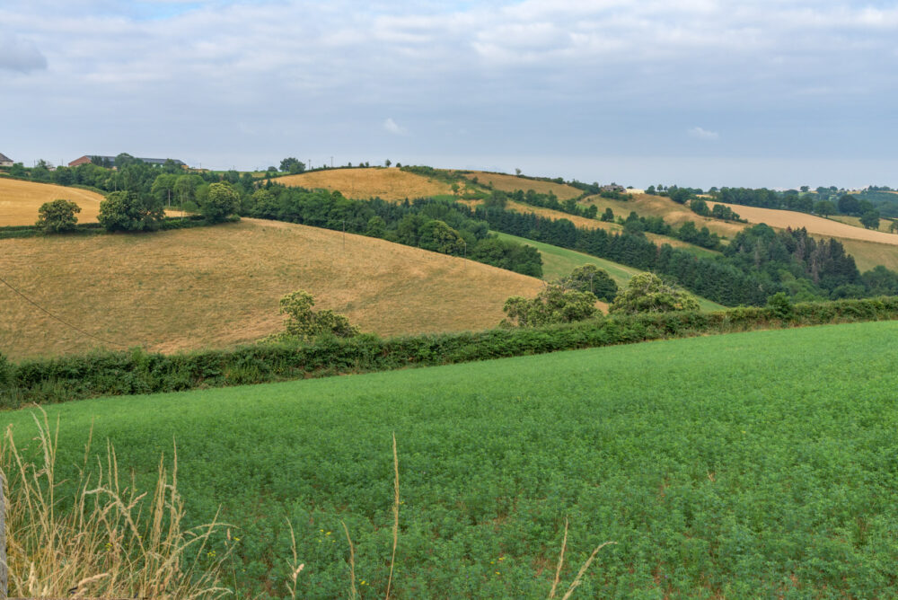 J7-laguast---35-mm-24C_6040---03-juillet-2025