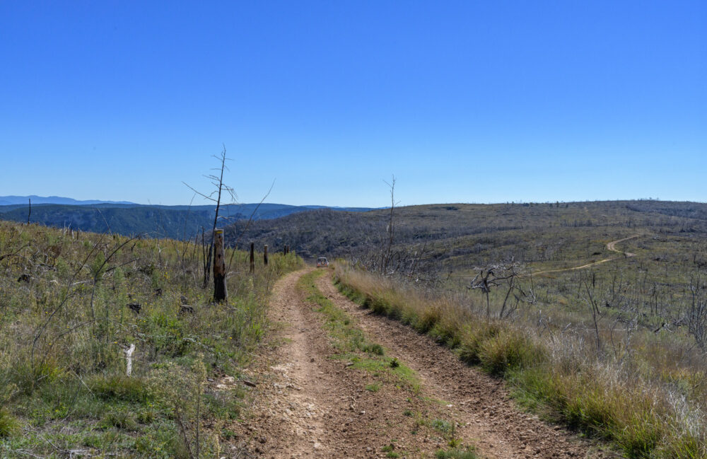 16_OPP_Mostuejouls-35mm-24C_7021-02-octobre-2025