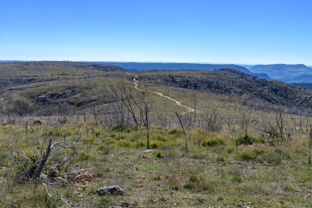 16_OPP_mostuejouls-esprit-des-lieux---35-mm-24C_7118---02-octobre-2025