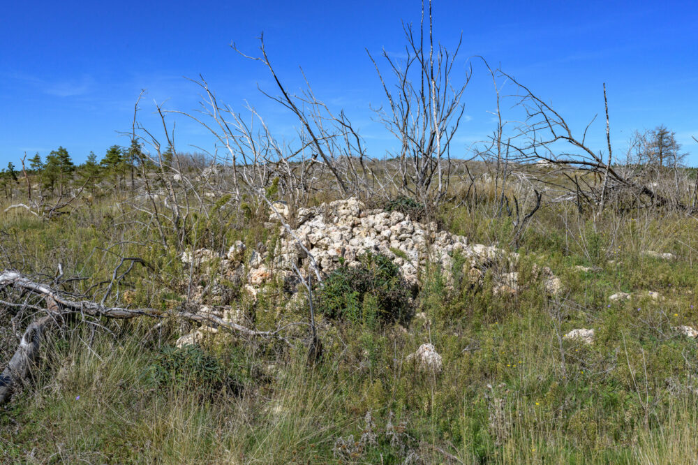 16_OPP_mostuejouls-esprit-des-lieux---35-mm-24C_7125---02-octobre-2025