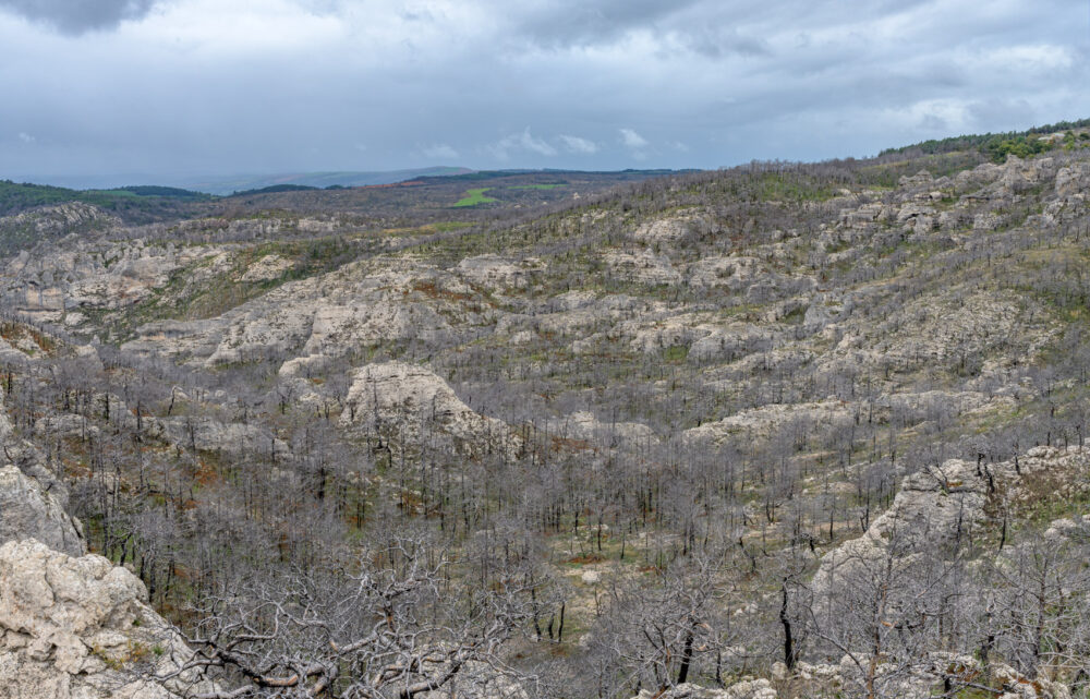 17-1-OPP-Mostuejouls--DSC_2707-03-octobre-2024