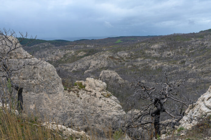 17-1-OPP-Mostuejouls--DSC_2727-03-octobre-2024