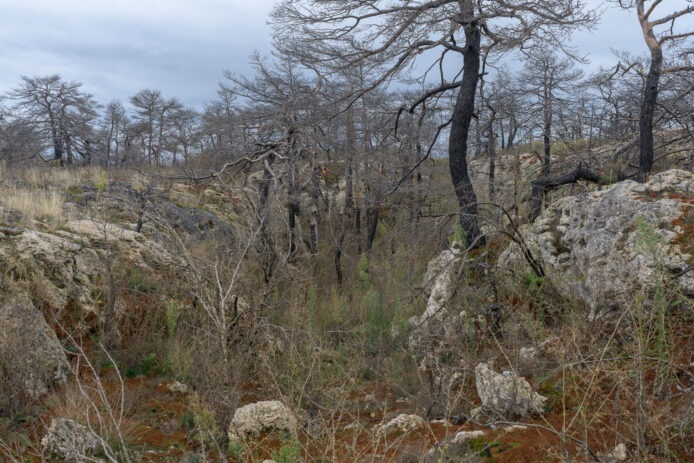 17-1-OPP-Mostuejouls--DSC_2729-03-octobre-2024