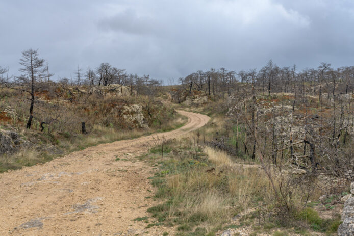 17-2-OPP-Mostuejouls--DSC_2665-03-octobre-2024