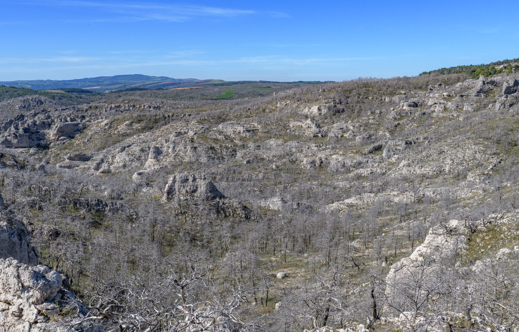 17_1_OPP_Mostuejouls-35mm-24C_7097-02-octobre-2025