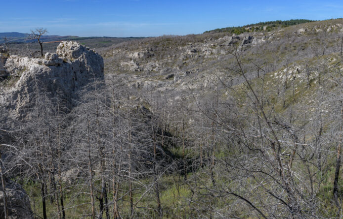 17_2_OPP_Mostuejouls-35mm-E24C_7080-02-octobre-2025