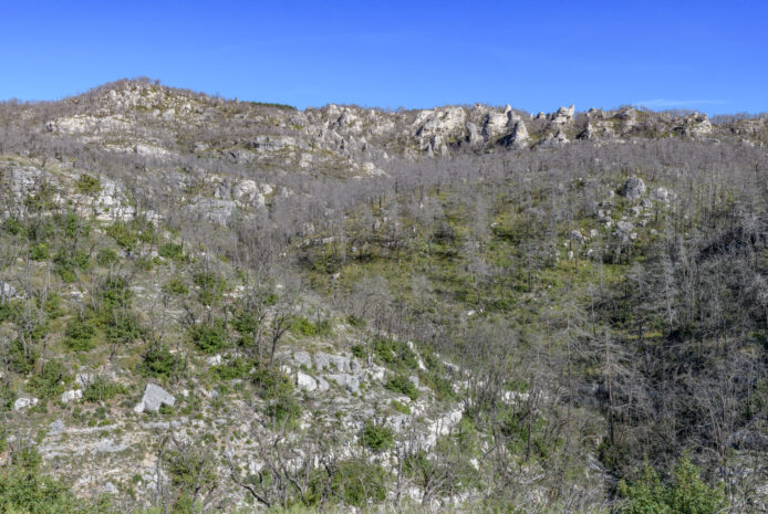 19_OPP_Mostuejouls-35mm-24C_7126-02-octobre-2025