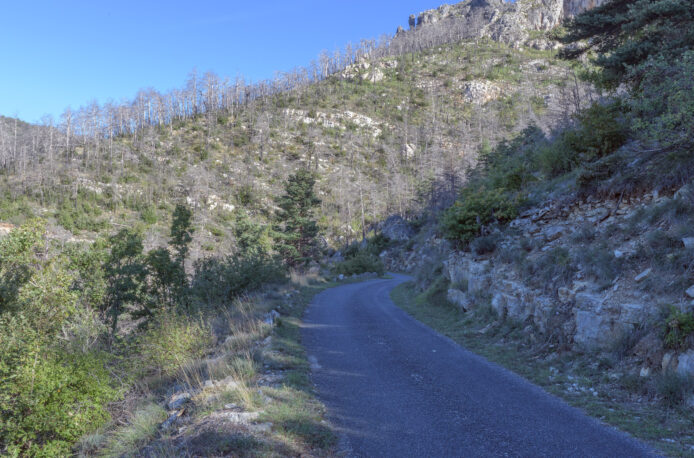 2_OPP_Mostuejouls--35-mm-24C_6720 - 02 octobre 2025