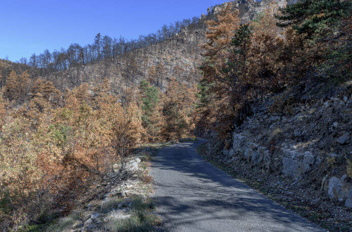 2_OPP_Mostuejouls-35-mm-E24C_6720--octobre-2022