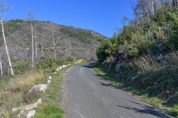 3_OPP_Mostuejouls-35-mm-24C_6730-02 octobre 2025