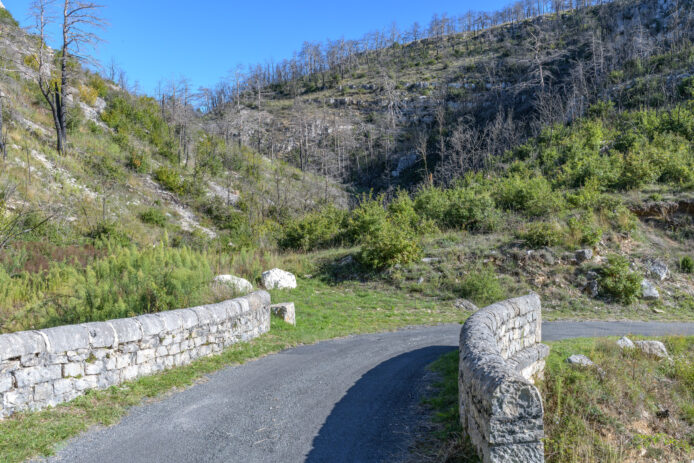 4_OPP_Mostuejouls-35-mm-E24C_6791-02-octobre-2025