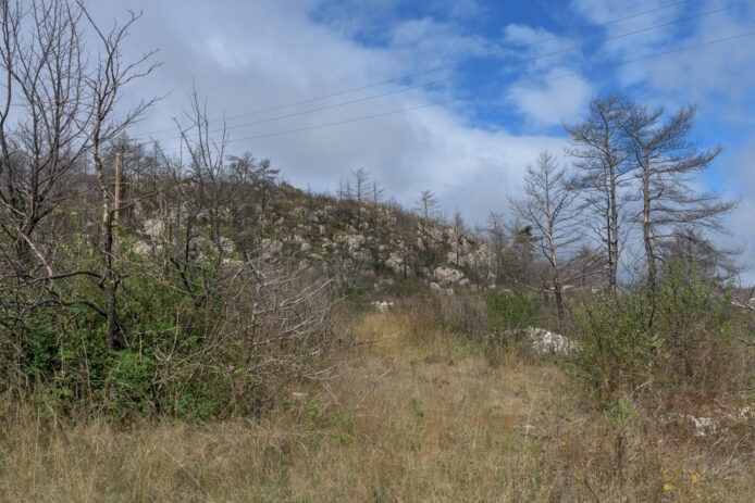 6-OPP-Mostuejouls-esprit-des-lieux-DSC_2420-03-octobre-2024