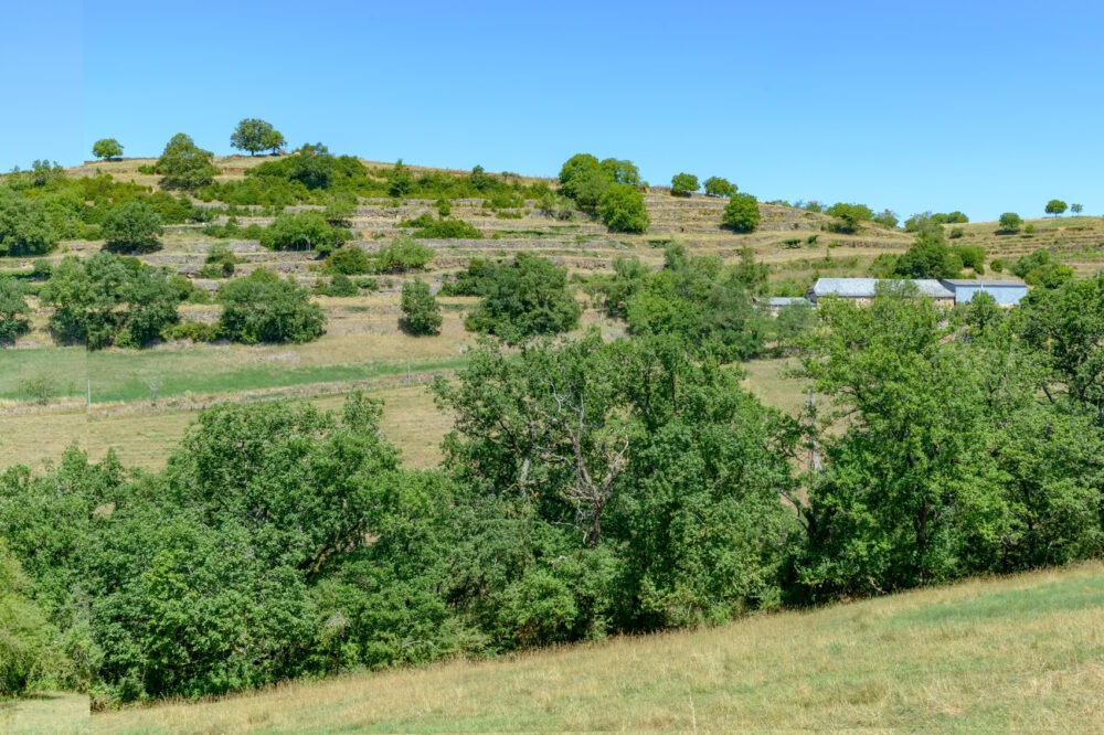 30-coubisou-terrasses-CAU_4135-Panorama-30-juin-2015