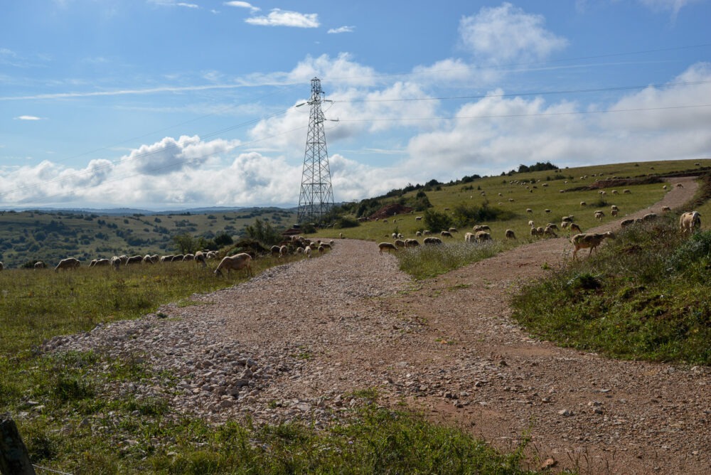 HS-L12-grangette-sainte-eulalie--CAU_2168-01 octobre 2014