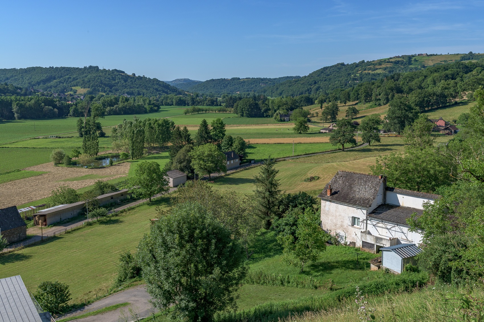 09 juillet 2024-DSC_8190