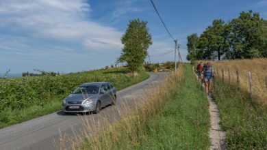 D606 - GR 65 - Chemin de Saint Jaques de Compostelle - 15 - E6 - 09 juillet 2024-DSC_8352