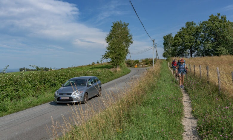 D606 - GR 65 - Chemin de Saint Jaques de Compostelle - 15 - E6 - 09 juillet 2024-DSC_8352