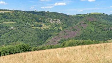 Vue sur La Vinzelle - 18 - D5 - 09 juillet 2024-DSC_8674