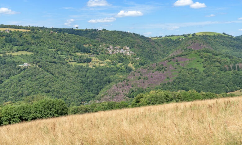 Vue sur La Vinzelle - 18 - D5 - 09 juillet 2024-DSC_8674