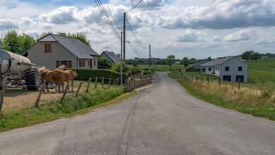 09 juillet 2024-DSC_8734