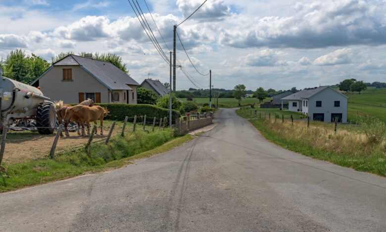09 juillet 2024-DSC_8734
