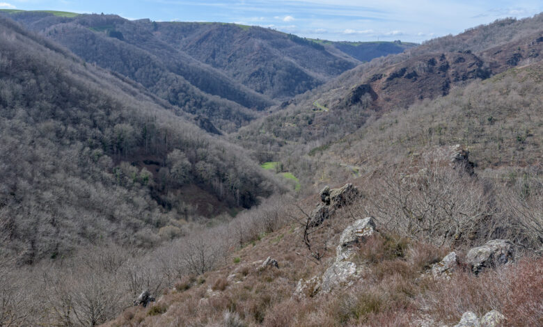 18 mars 2025-24C_4153