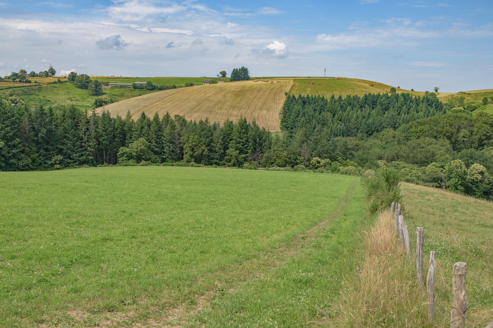 27 juin 2024-DSC_7451