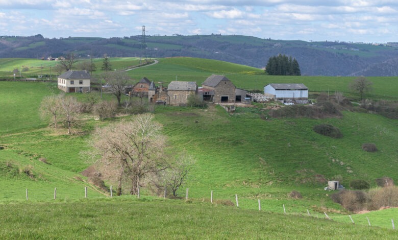 Route de Mirat / Vue sur La Linière - 38 - D5 - 27 mars 2025-24C_5139
