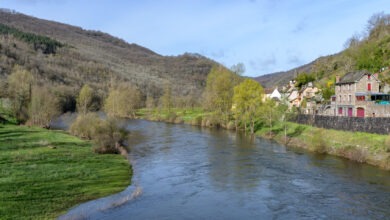 Pont de Villevie - 3 - D5 - 28 mars 2024-DSC_4892